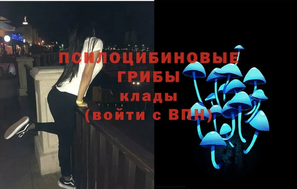 ПСИЛОЦИБИНОВЫЕ ГРИБЫ Арсеньев