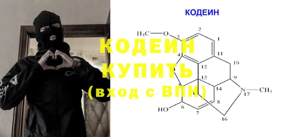 ПСИЛОЦИБИНОВЫЕ ГРИБЫ Арсеньев