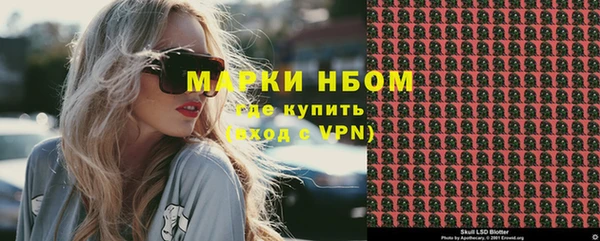 ПСИЛОЦИБИНОВЫЕ ГРИБЫ Арсеньев