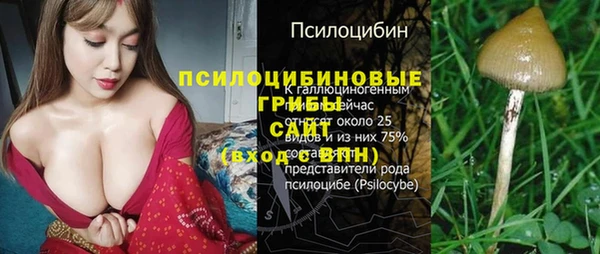 ешки Аркадак