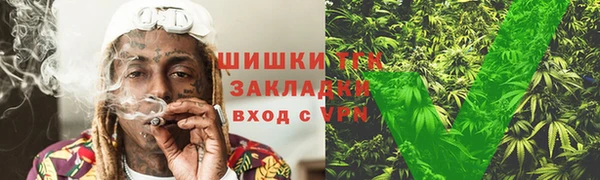 ПСИЛОЦИБИНОВЫЕ ГРИБЫ Арсеньев