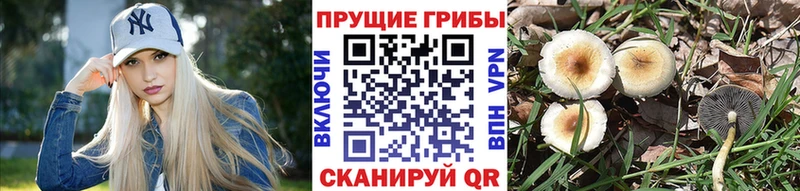 Галлюциногенные грибы MAGIC MUSHROOMS  Микунь 